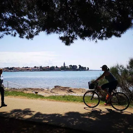 Stelio 33579 Apartman