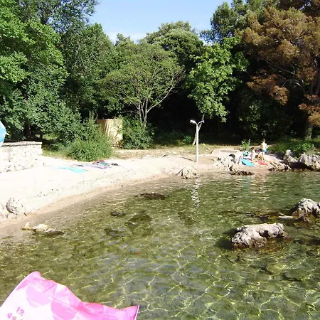 Stelio 33579 * Póla